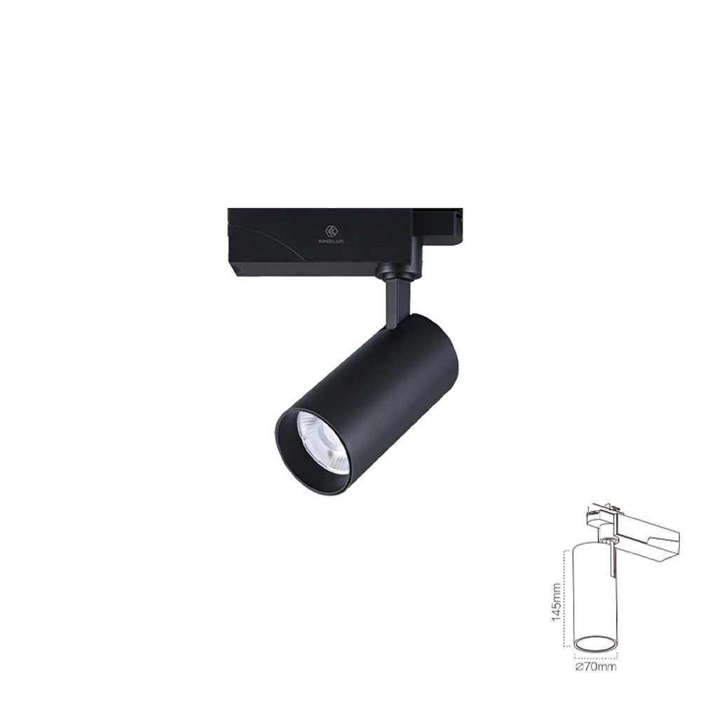 Đèn chiếu rọi ray-F2 30W, Màu đen