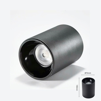 Đèn bơ chiếu rọi 10W, vỏ đen, ánh sáng đơn sắc - 4000K